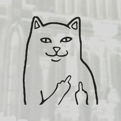 Cat middle finger