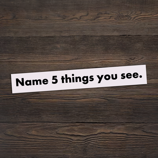 Name 5 Things You See Sticker